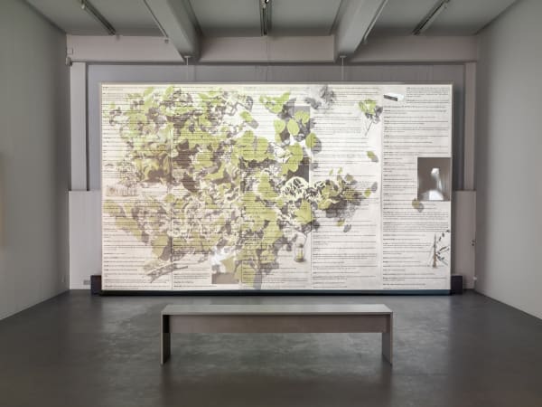 Installation view, Johannes Heldén, Emergence, 2024, Cecilia Hillström Gallery. Photo: Jean-Baptiste Béranger.