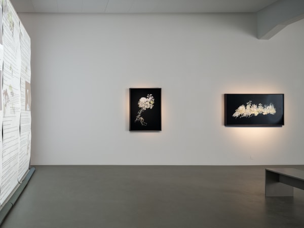 Installation view, Johannes Heldén, Emergence, 2024, Cecilia Hillström Gallery. Photo: Jean-Baptiste Béranger.