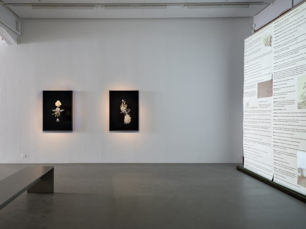 Installation view, Johannes Heldén, Emergence, 2024, Cecilia Hillström Gallery. Photo: Jean-Baptiste Béranger.