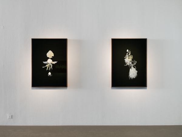 Installation view, Johannes Heldén, Emergence, 2024, Cecilia Hillström Gallery. Photo: Jean-Baptiste Béranger.