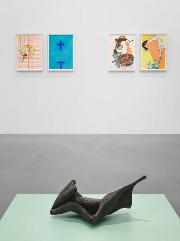 Installation view, Carl Boutard, Degrowth, 2025, Cecilia Hillström Gallery. Photo: Jean-Baptiste Béranger.