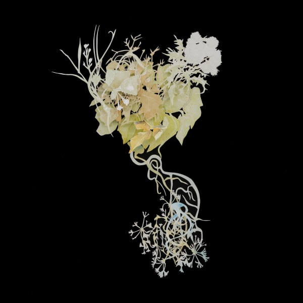 Johannes Heldén - Dark Ray, 2022