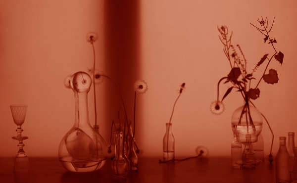 Lovisa Ringborg, solo exhibition 'Blindgångare'