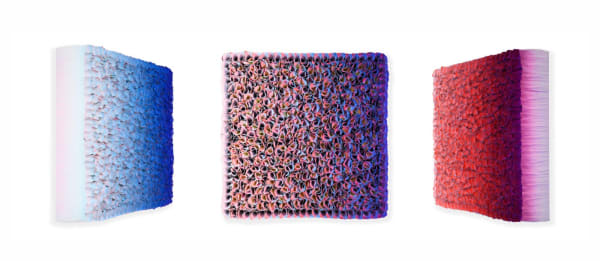 Zhuang Hong-yi, Degrees