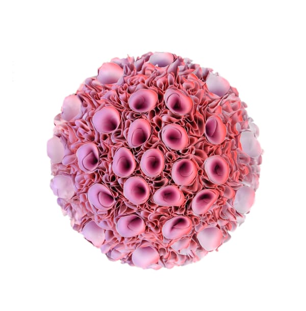 Zhuang Hong-yi, Mini Series (pink), 2022