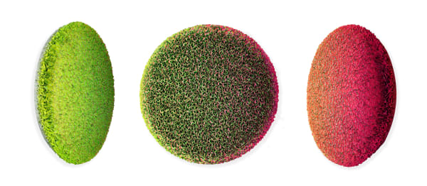 Zhuang Hong-yi, Rose Water - SOLD- , 2022