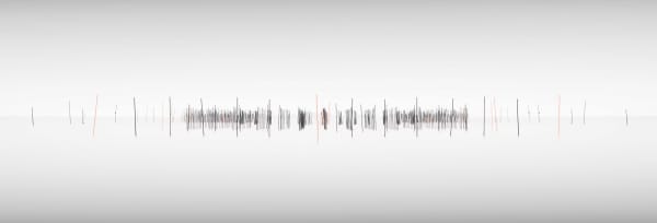 Sonia Aumiller, Nori Farm, 2024