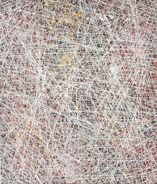 Albert Fröling, Open Letter to Duke, 2022