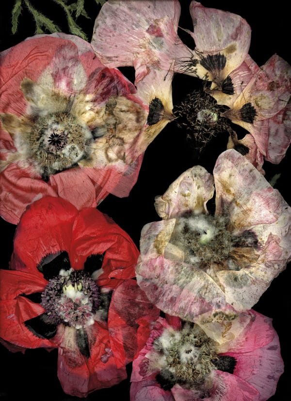 Vernissage de l'exposition "Flower Power" de Katharina Von Flotow