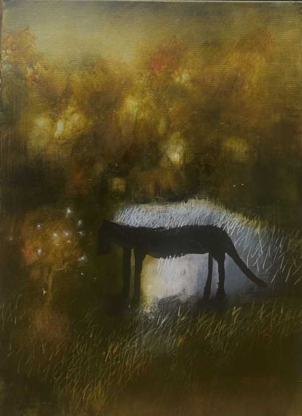 Cc468F94 01Ca 49Fa Aaa2 5Fc6D3E170C0