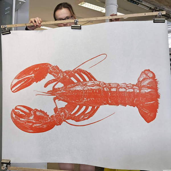 Maine Lobster linocut art print. Black on white by Nicola Wallis