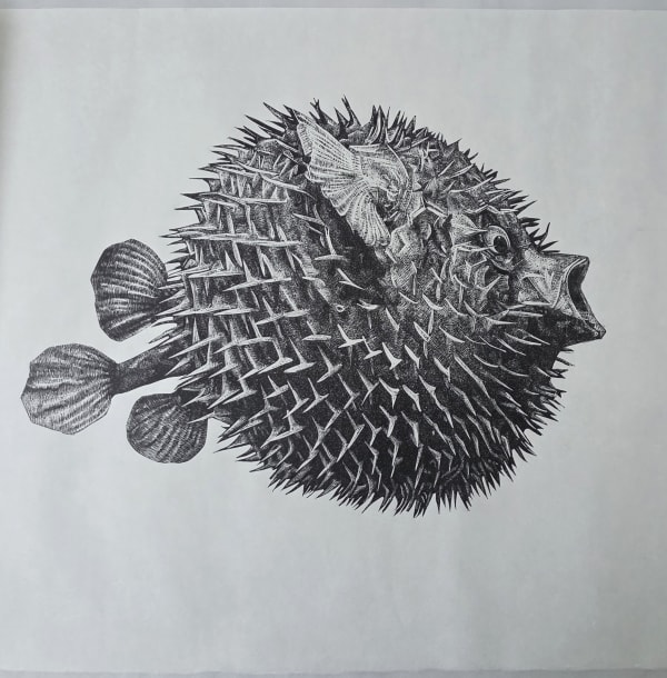Black blowfish linocut art print by Nicola Wallis