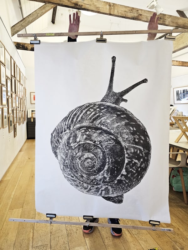Highly detailed snail linocut art print by Nicola Wallis