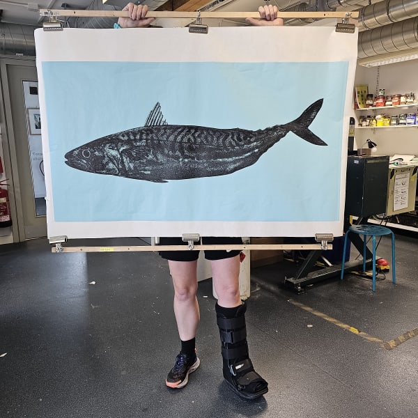 Mackerel linocut art print on a blue background by Niocla Wallis