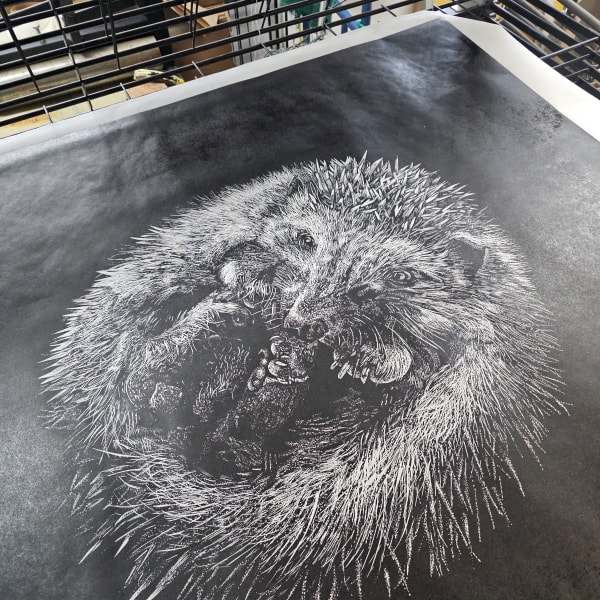 Hedgehog linocut print on a black background by artist Nicola Wallis
