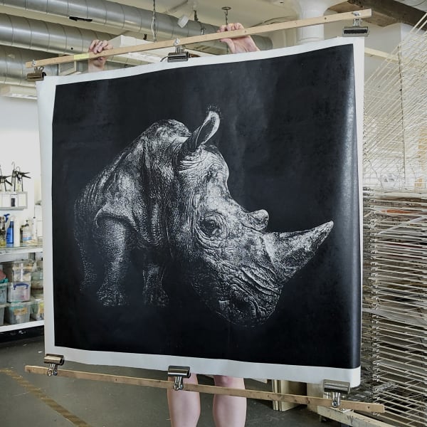 Rhino linocut art print on a black background by Nicola Wallis