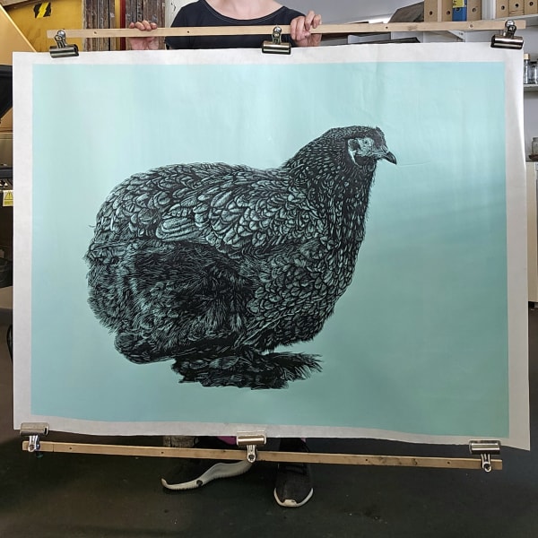 Chook Print Reveal