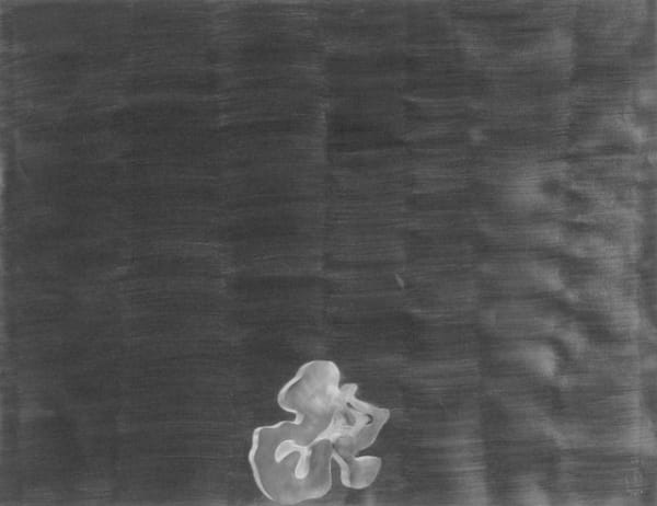 Carel Visser Arp 1976 50 5X65