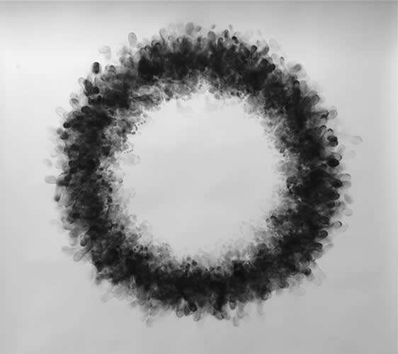 08 Carlijn Mens Dansa I En Ring 2013 Charcoal On Paper 200X200Cm