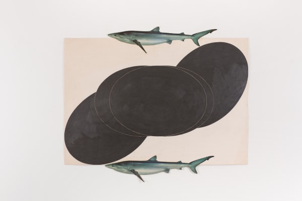 Vis Cons 56 Carel Visser Untitled 1986 Grafiet Op Papier En Collage 85X100