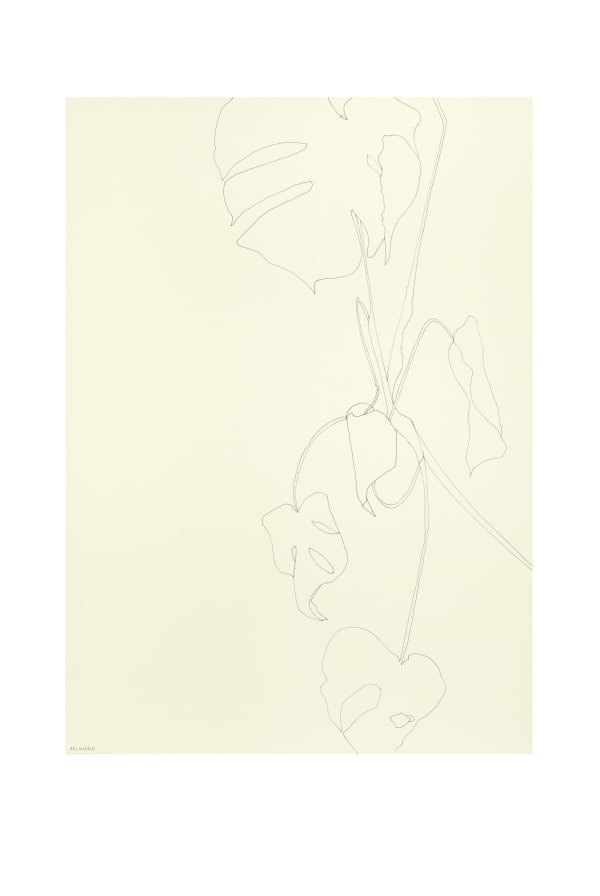 Ronald Zuurmond 10082018 2018 Ink On Paper 70X50 Cm