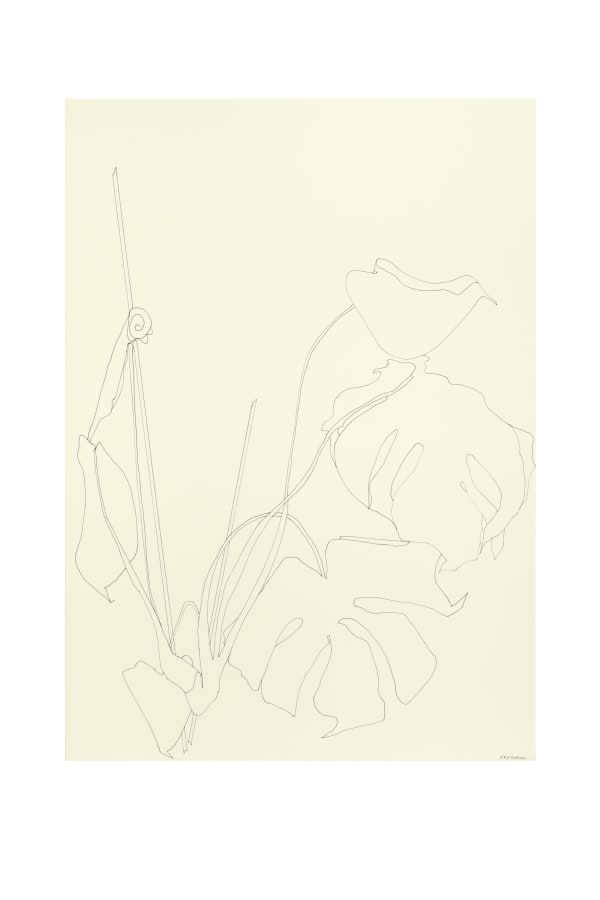 Ronald Zuurmond 16082018 2018 Ink On Paper 70X50 Cm