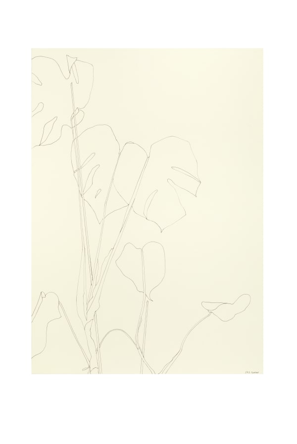 Ronald Zuurmond 27082018 2018 Ink On Paper 70X50 Cm