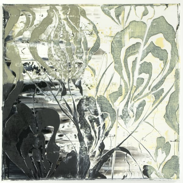 Waterplant 1 60 60 2017 Oil On Canvas 60X60Cm Kopie