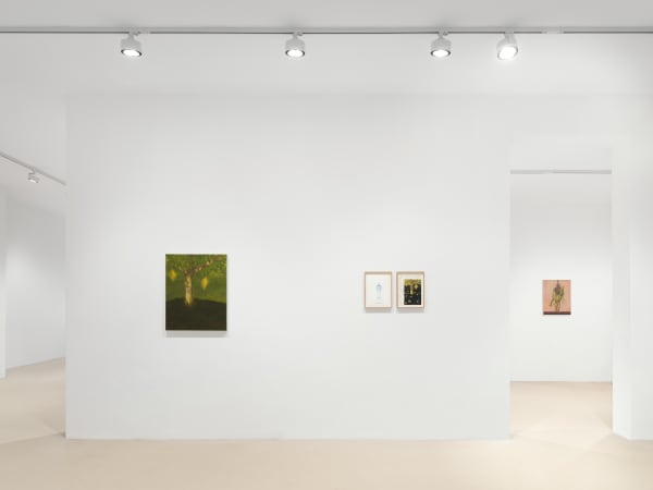 2025 01 16 Keteleer 8372 Web