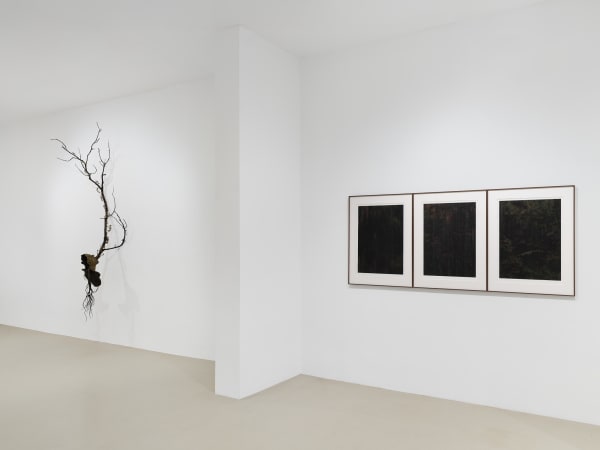 2025 03 14 Keteleer 9586