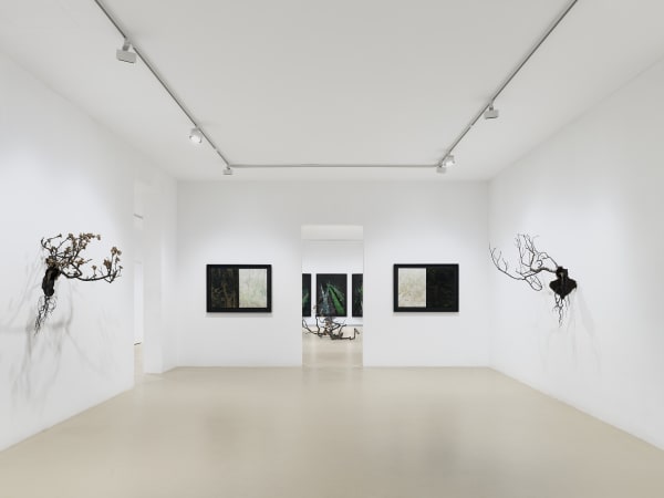 2025 03 14 Keteleer 9601