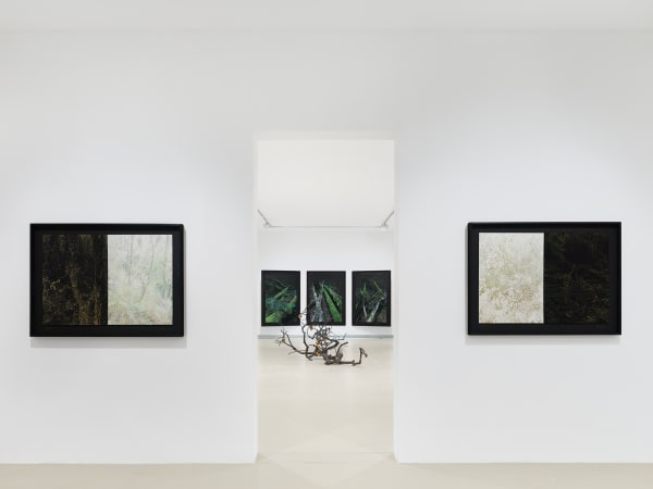 2025 03 14 Keteleer 9609