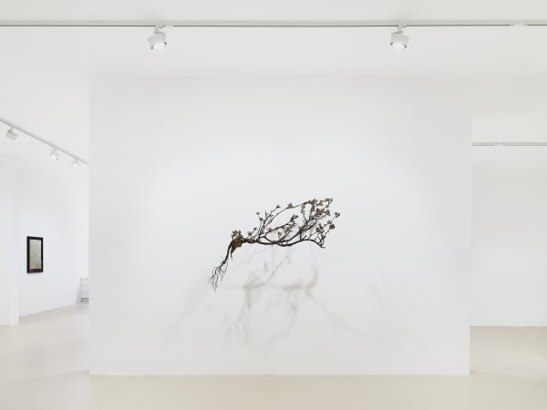 2025 03 14 Keteleer 9612