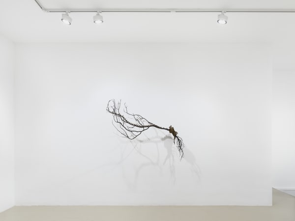 2025 03 14 Keteleer 9614