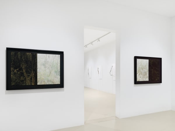 2025 03 14 Keteleer 9616