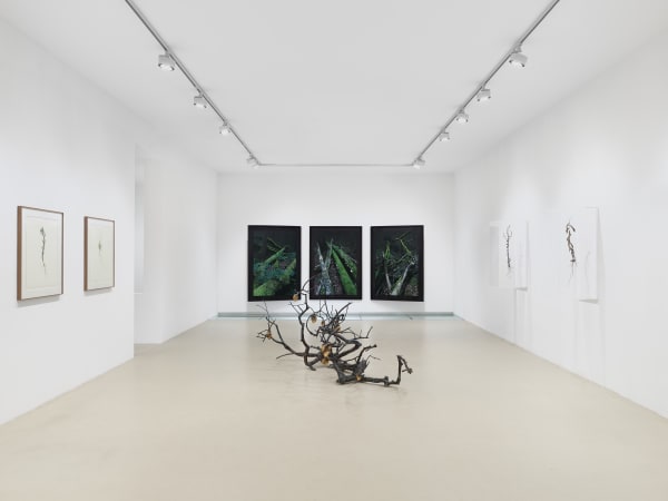 2025 03 14 Keteleer 9620