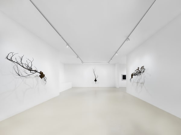 2025 03 14 Keteleer 9623