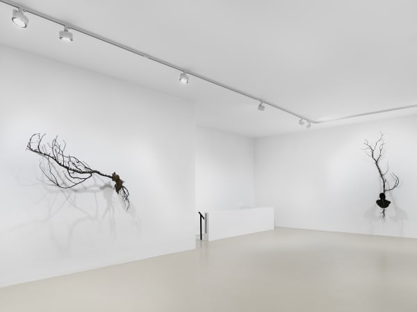 2025 03 14 Keteleer 9624