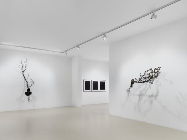 2025 03 14 Keteleer 9625