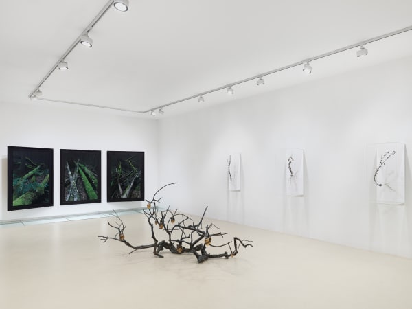 2025 03 14 Keteleer 9631