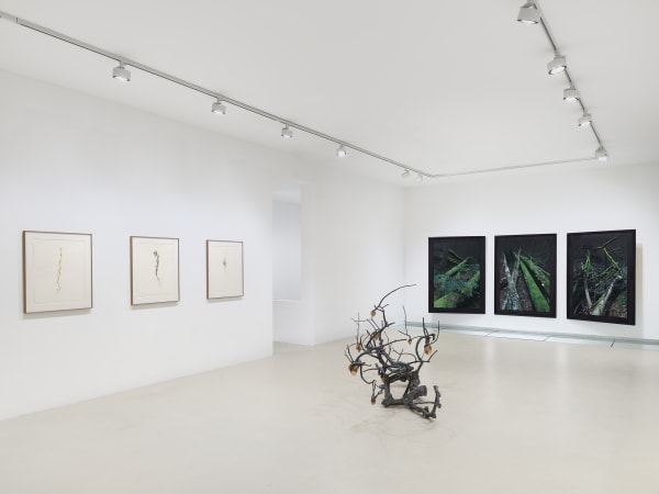 2025 03 14 Keteleer 9633