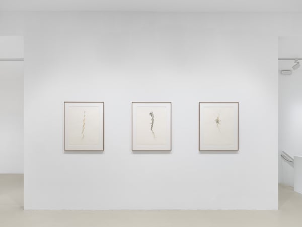 2025 03 14 Keteleer 9635