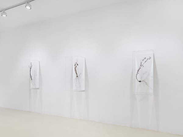 2025 03 14 Keteleer 9636