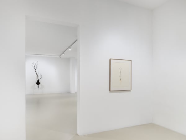 2025 03 14 Keteleer 9642