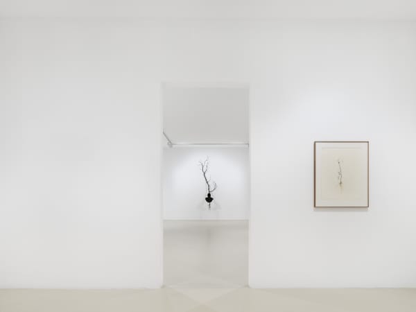 2025 03 14 Keteleer 9643