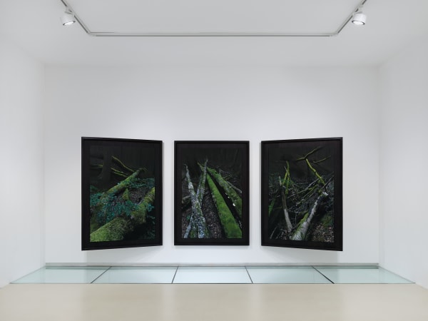 2025 03 14 Keteleer 9645