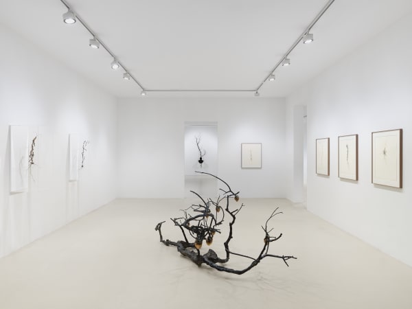 2025 03 14 Keteleer 9646