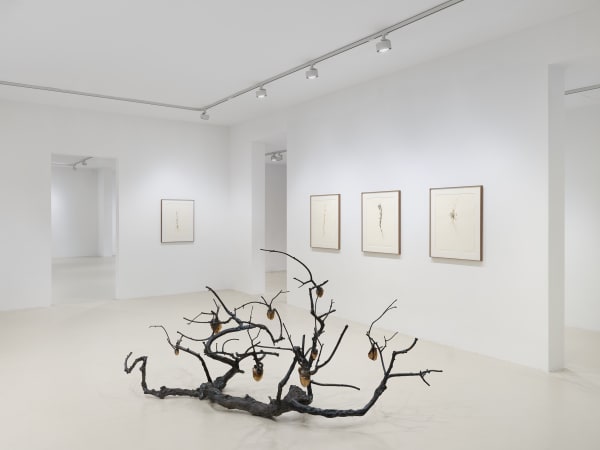 2025 03 14 Keteleer 9647