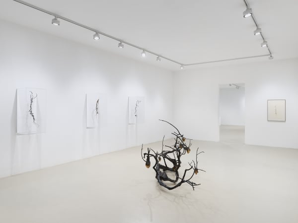 2025 03 14 Keteleer 9648