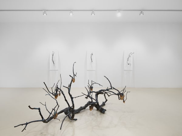 2025 03 14 Keteleer 9652